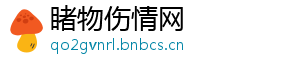 睹物伤情网